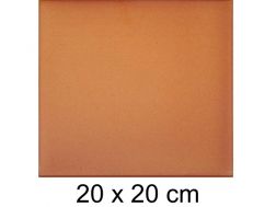 Natural 20 x 20 cm - Gestreckte Sandsteinfliese - Typ Grès d'Artois - Gres Aragon - Klinker Buchtal