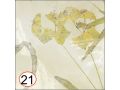 SOUK 13x13 cm - Boden- und Wandfliesen, Zellige-Stil