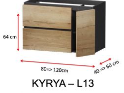 Zwei Schubladen und eine Tür, Höhe 64 cm, Waschtischunterschrank - KYRYA L13