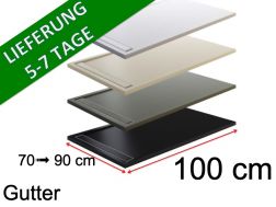 100 cm - Regenrinne mit Harzgitter - GUTTER COVER