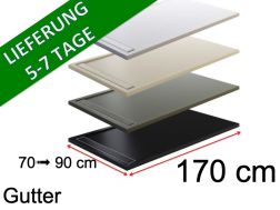 170 cm - Regenrinne mit Harzgitter - GUTTER COVER