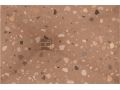 Duschwanne, Digitaldruck, terrazzo - imaZine terrazzo